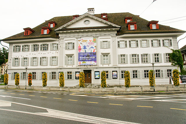 Bild zu Zusammenlegung der Museen